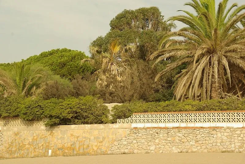 Playa de Calahonda en Marbella, Málaga — foto 6 de 10