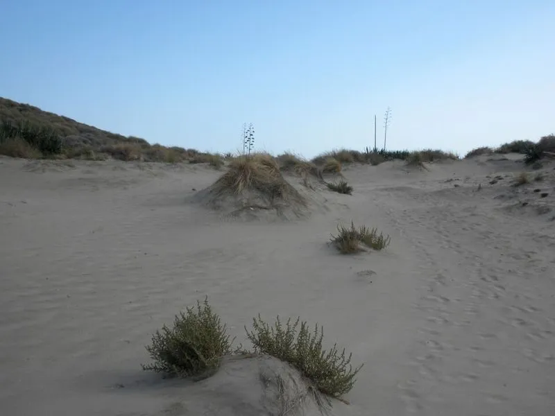 Playa Calas del Barronal en Níjar, Almería — foto 3 de 5