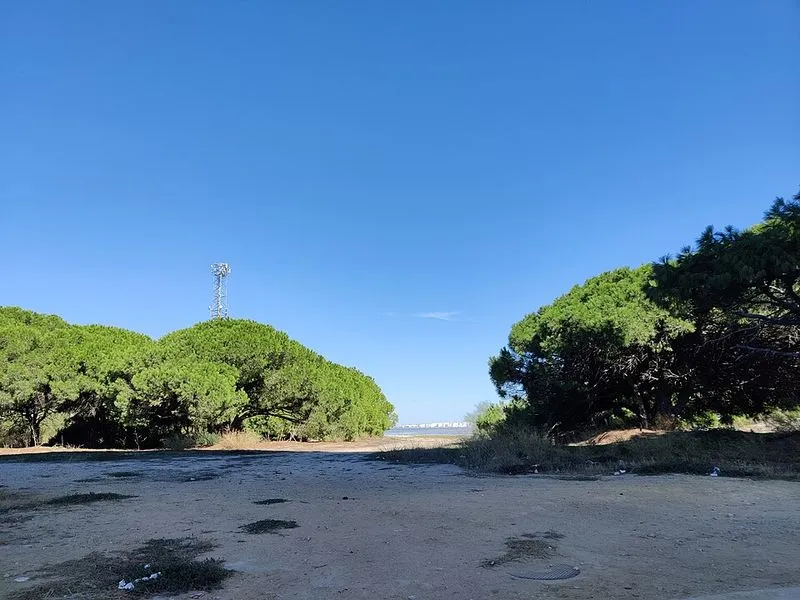 Playa Calita de la Bocana del Río en Puerto Real, Cádiz — foto 3 de 4