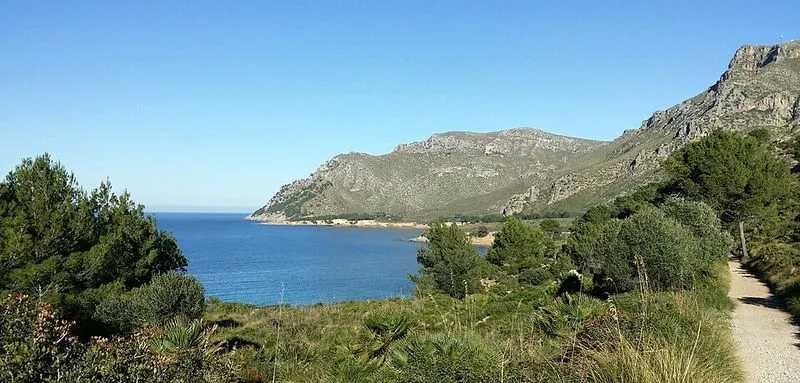 Playa Caló d'En Sureda en Artà, Islas Baleares — foto 2 de 4