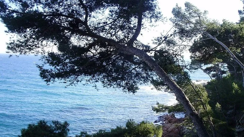 Playa Can Cristus en Calonge, Gerona — foto 5 de 5