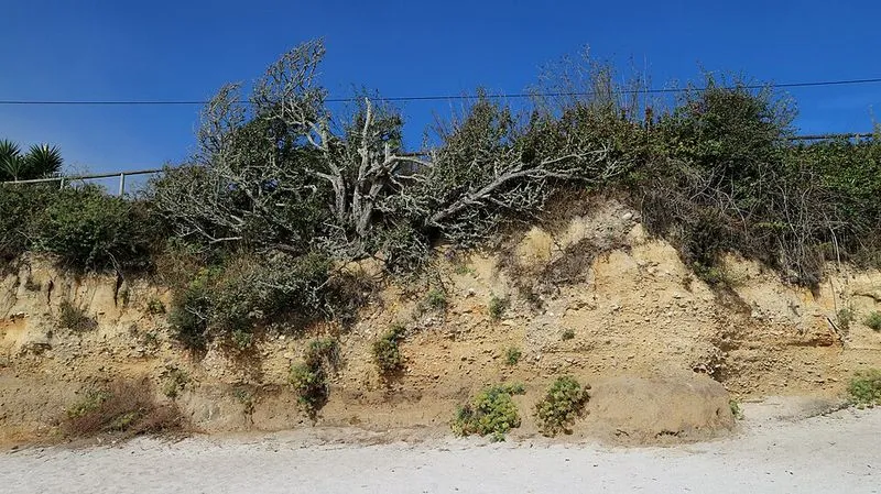 Playa Canexol en Bueu, Pontevedra — foto 1 de 4