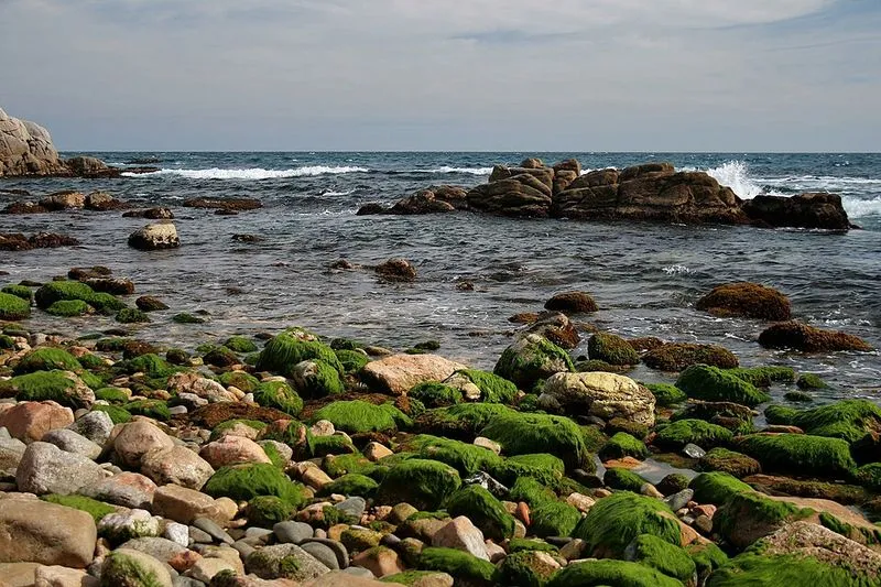 Playa de Cap de Planes en Palamós, Gerona — foto 4 de 10