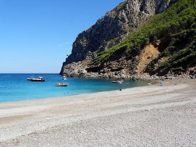 Playa Coll Baix en Alcúdia, Islas Baleares — foto 2 de 14