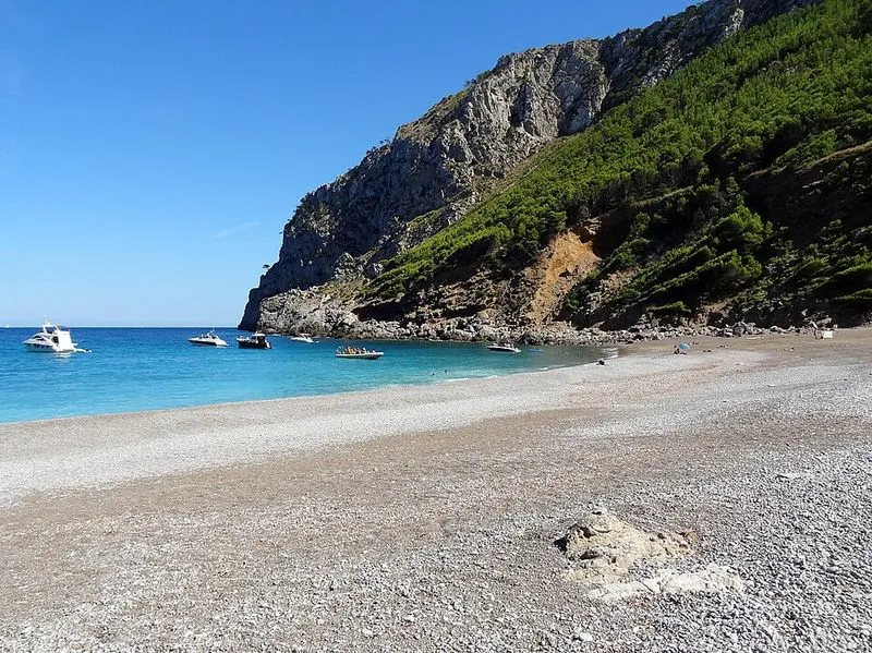 Playa Coll Baix en Alcúdia, Islas Baleares — foto 8 de 14