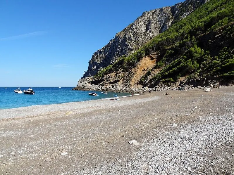 Playa Coll Baix en Alcúdia, Islas Baleares — foto 11 de 14