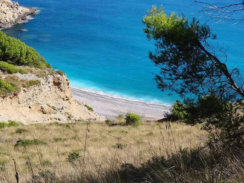 Playa Coll Baix en Alcúdia, Islas Baleares — foto 6 de 14