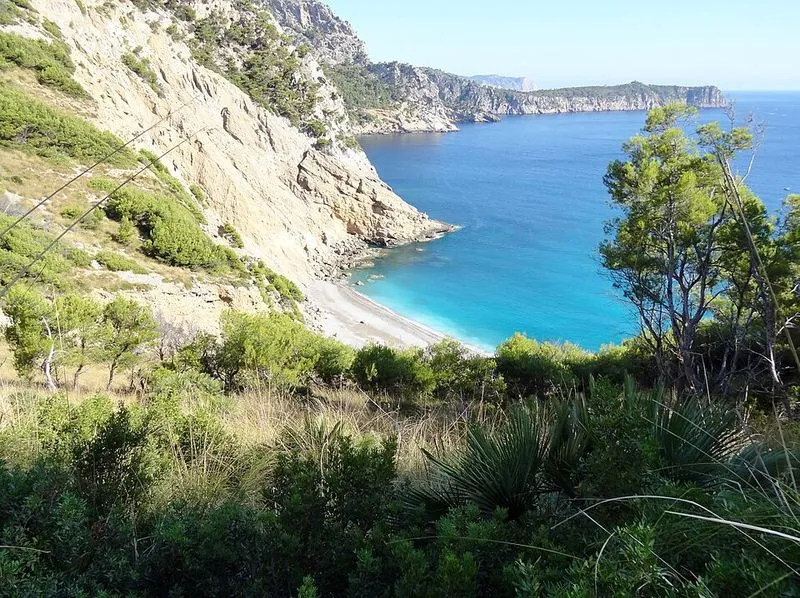 Playa Coll Baix en Alcúdia, Islas Baleares — foto 12 de 14