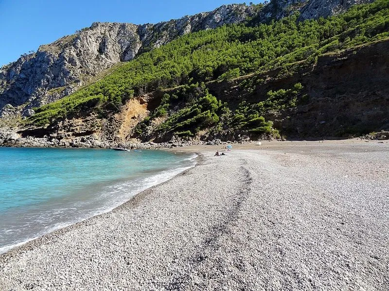 Playa Coll Baix en Alcúdia, Islas Baleares — foto 7 de 14