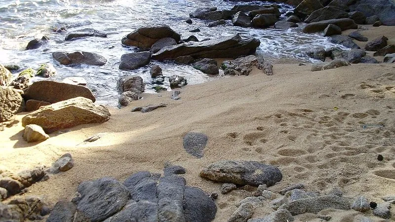 Playa de Comptat de Sant Jordi en Calonge, Gerona — foto 6 de 7