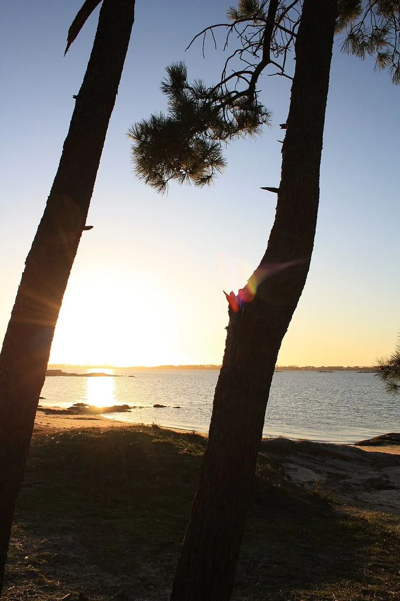 Playa Con da Mina en Vilanova de Arousa, Pontevedra — foto 4 de 5