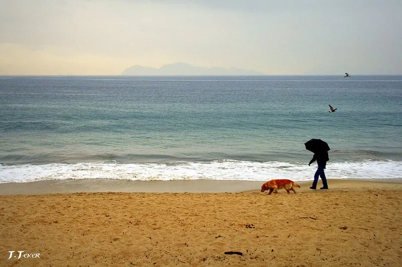 Playa De Argazada en Vigo, Pontevedra — foto 4 de 5