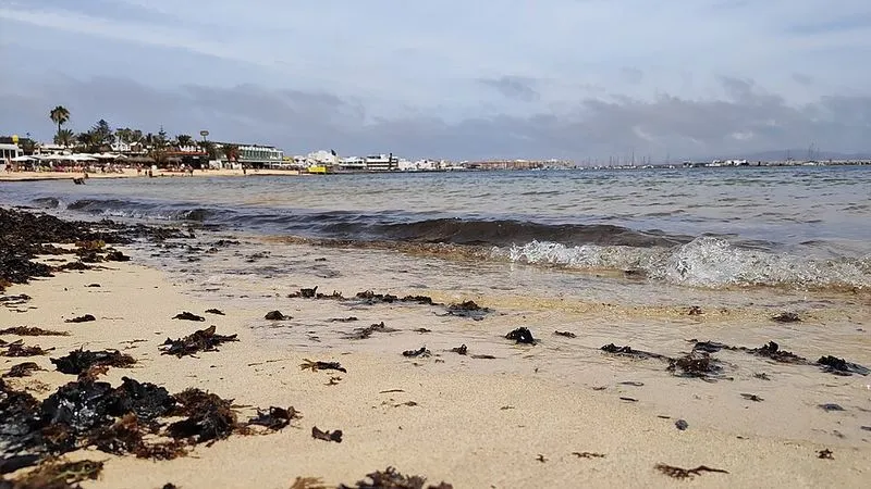 Playa de De Corralejo viejo en La Oliva