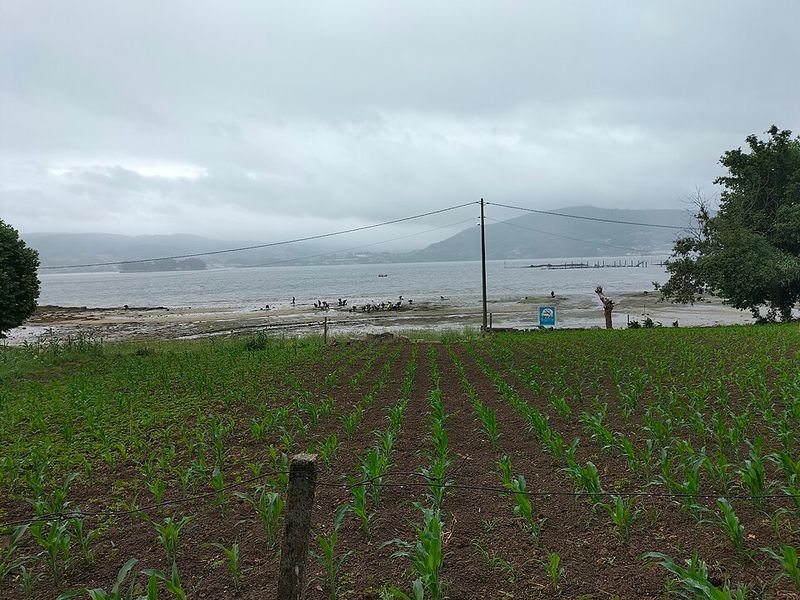 Playa Deilán en Vilaboa, Pontevedra