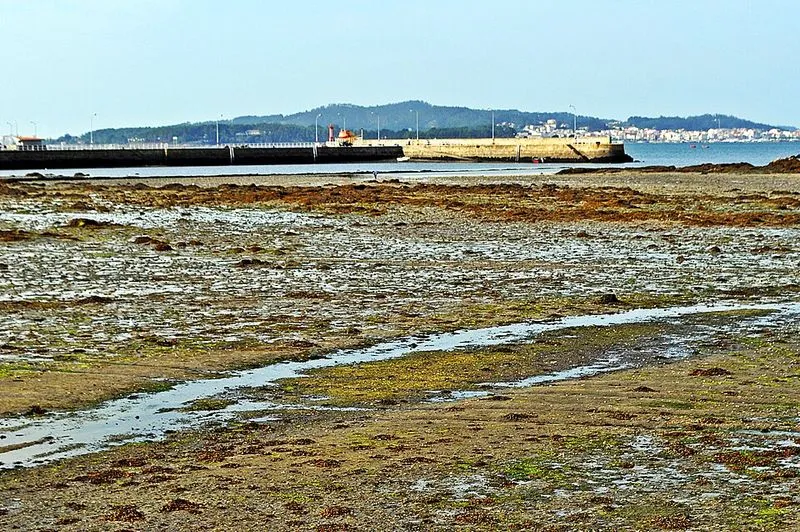 Playa Do Pombal en Cambados, Pontevedra — foto 3 de 3