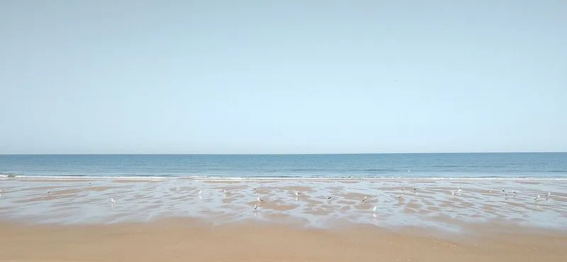 Playa de Doñana en Almonte, Huelva — foto 2 de 4