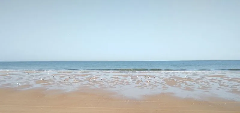 Playa de Doñana en Almonte, Huelva — foto 3 de 4