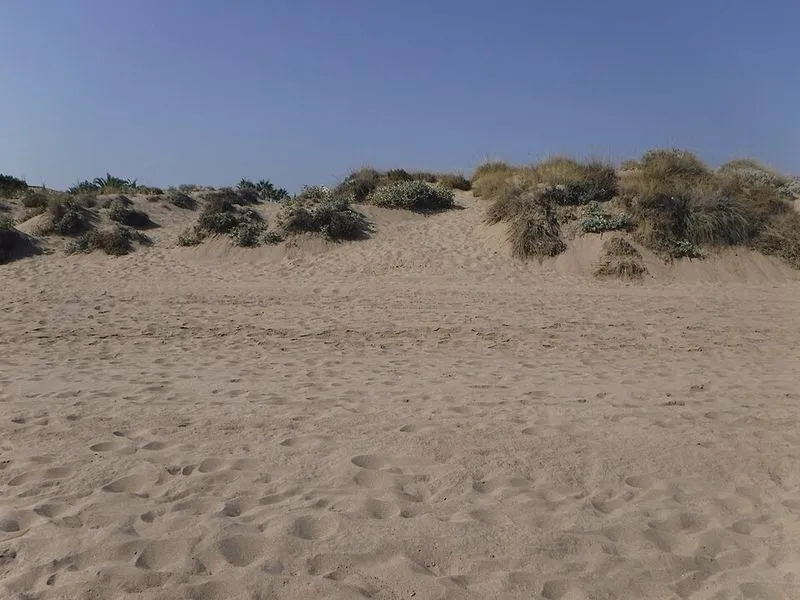 Playa del Alicate en Marbella, Málaga — foto 4 de 4