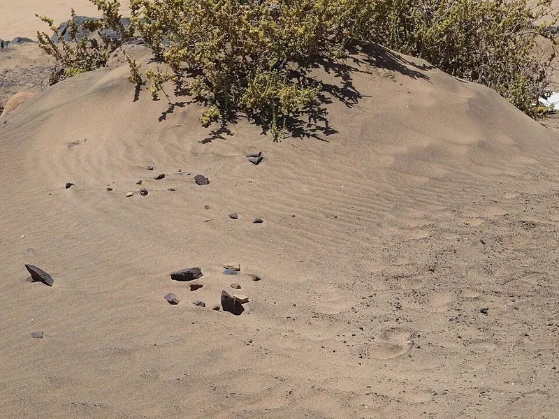 Playa del Aljibe en La Oliva, Las Palmas — foto 3 de 5