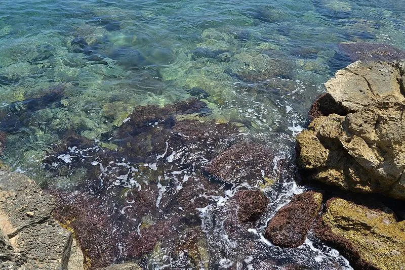 Playa del Andragó en Teulada, Alicante — foto 7 de 9