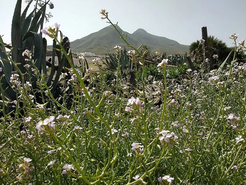 Playa El Arco en Níjar, Almería — foto 2 de 6