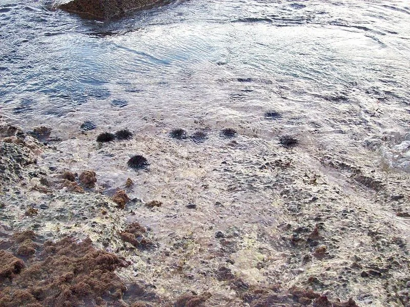 Playa del Burrero en Ingenio, Las Palmas — foto 5 de 6