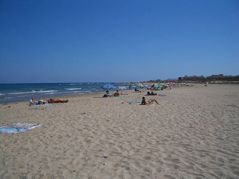 Playa El Campo en Guardamar del Segura, Alicante — foto 4 de 5
