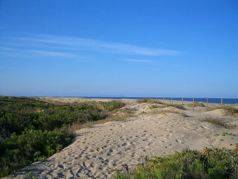 Playa El Campo en Guardamar del Segura, Alicante — foto 5 de 5