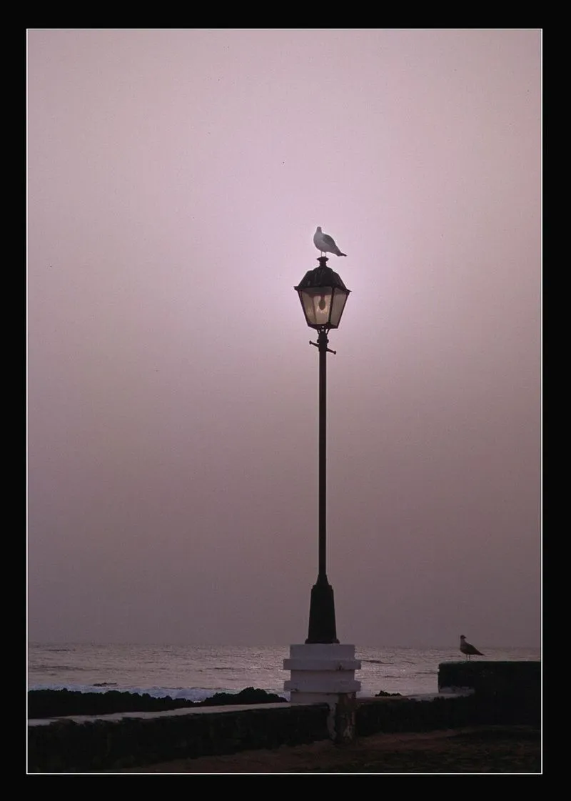 Playa El Charcón en Haría, Las Palmas — foto 3 de 3