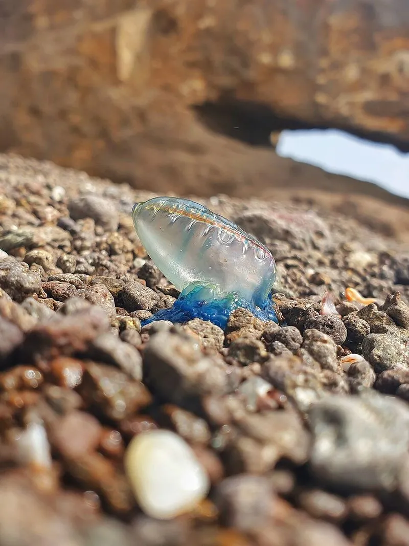Playa El Embarcadero en Níjar, Almería — foto 2 de 5