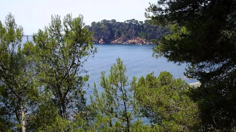 Playa del Golfet en Palafrugell, Gerona — foto 3 de 4
