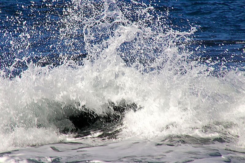 Playa El Inglés en San Bartolomé de Tirajana