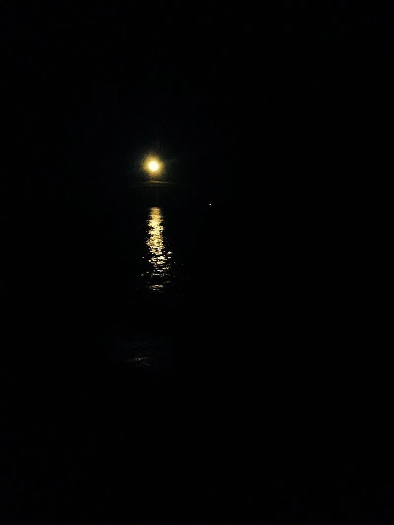 Playa El Marjal Norte en Alcanar, Tarragona — foto 2 de 5