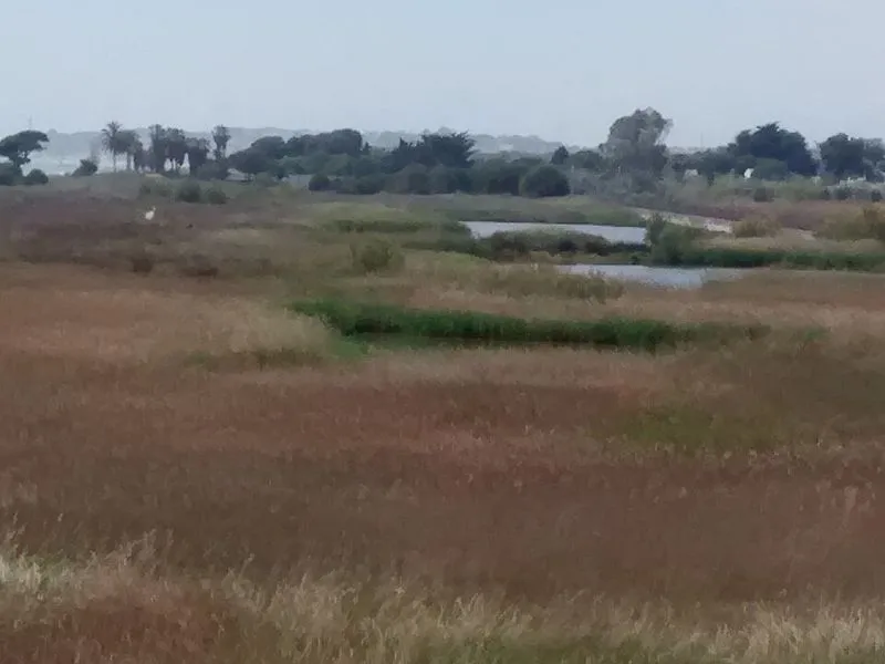 Playa del Muntanyans en Torredembarra, Tarragona — foto 3 de 6
