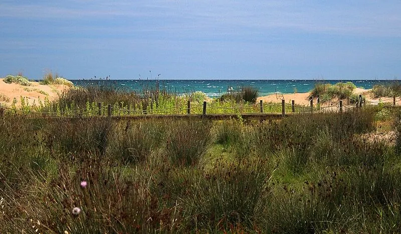 Playa del Muntanyans en Torredembarra, Tarragona — foto 5 de 6