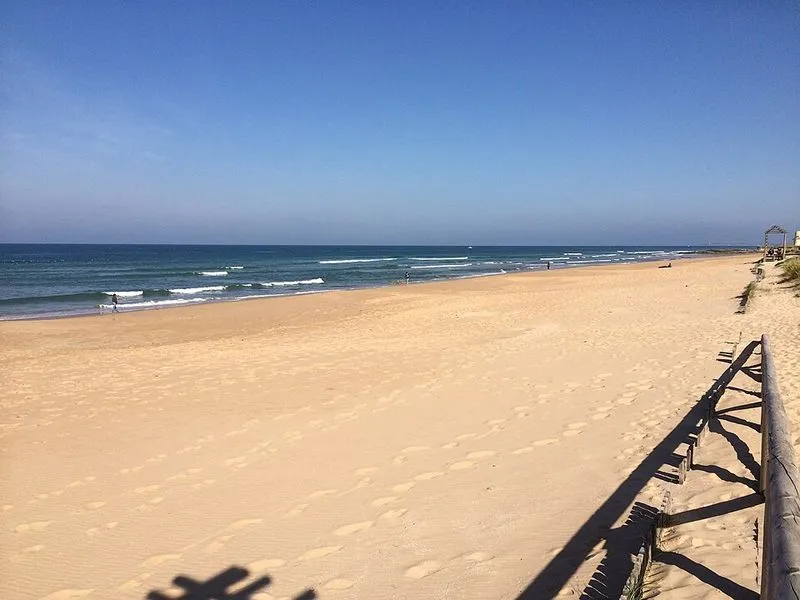 Playa del Palmar en Arona