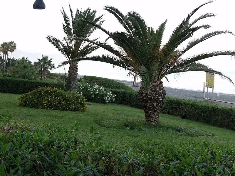 Playa del Peñoncillo en Torrox, Málaga — foto 2 de 3