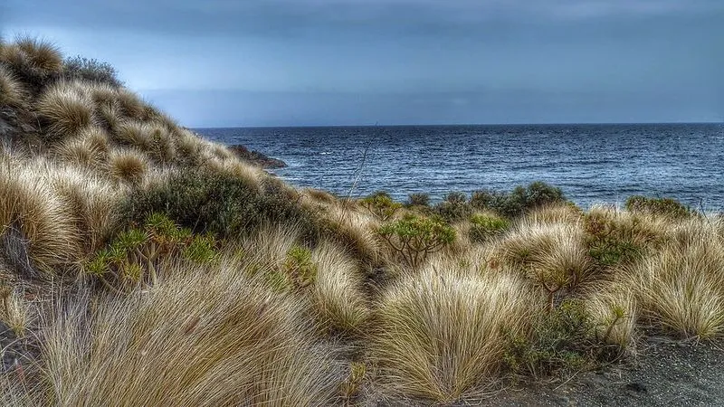 Playa del Pozo Norte en Villa de Mazo