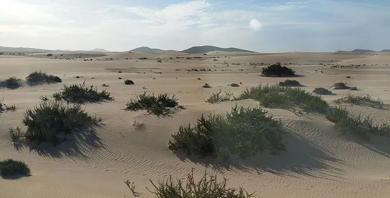 Playa del Rosadero en La Oliva, Las Palmas — foto 2 de 4