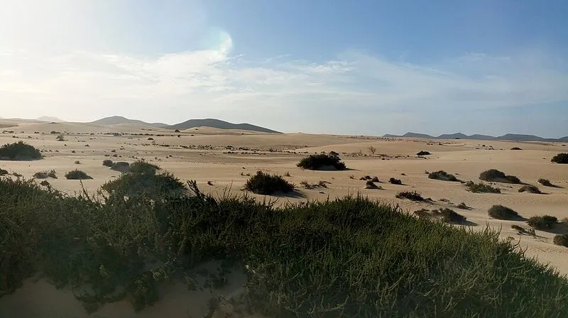 Playa del Rosadero en La Oliva, Las Palmas — foto 3 de 4