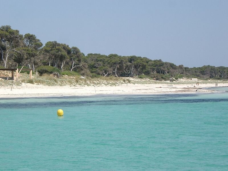 Playa Es Carbó en Ses Salines