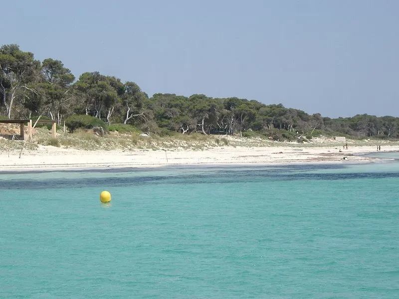 Es Carbó en Ses Salines