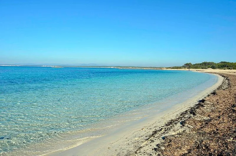 Playa Es Perengons Petits en Campos, Islas Baleares — foto 5 de 5