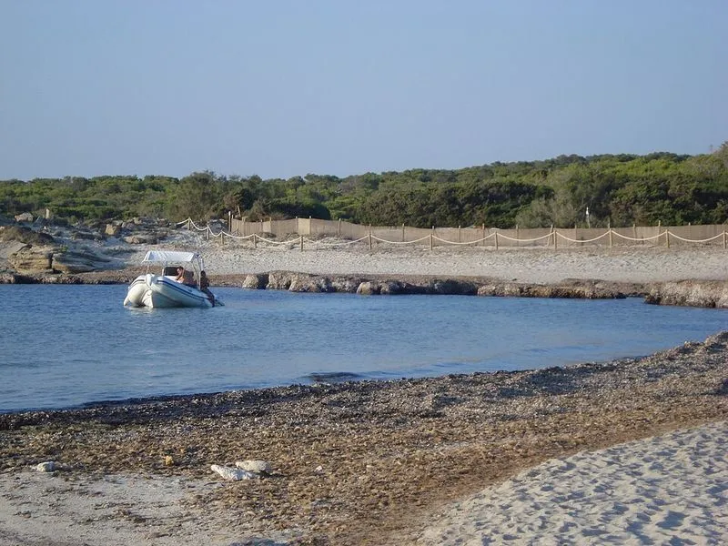 Es Perengons Petits en Campos