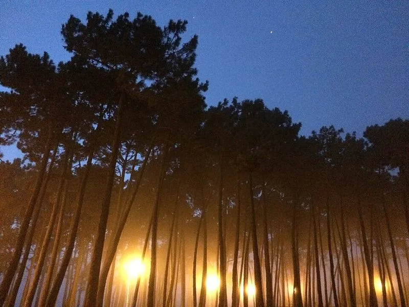 Playa Espedrigada en Vigo, Pontevedra — foto 3 de 5