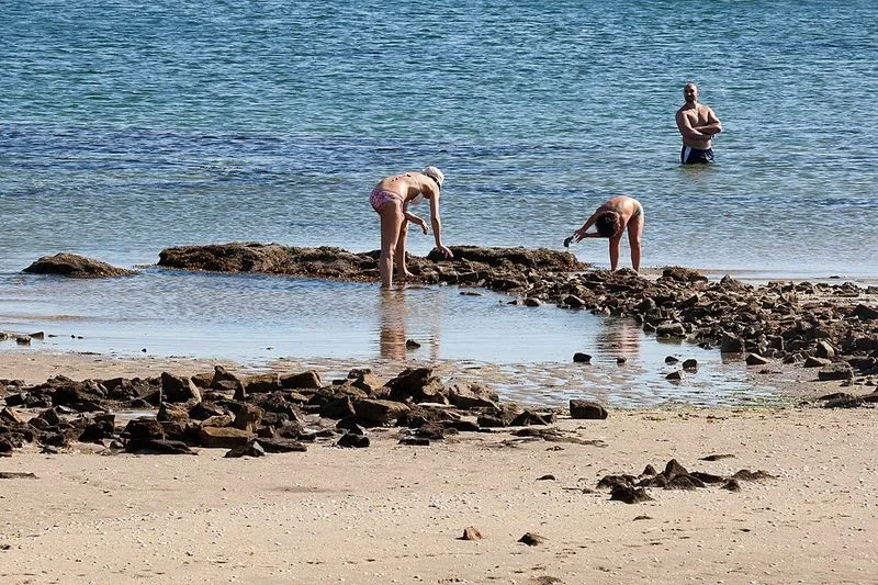 Playa de Illa Cortegada en Vilagarcía de Arousa, Pontevedra — foto 2 de 3