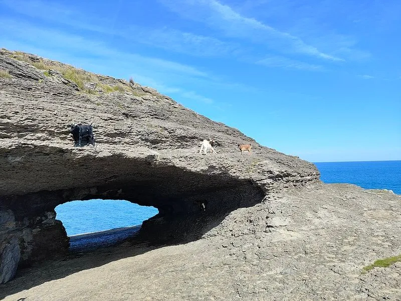 Playa La Arena en Arnuero, Cantabria — foto 2 de 4