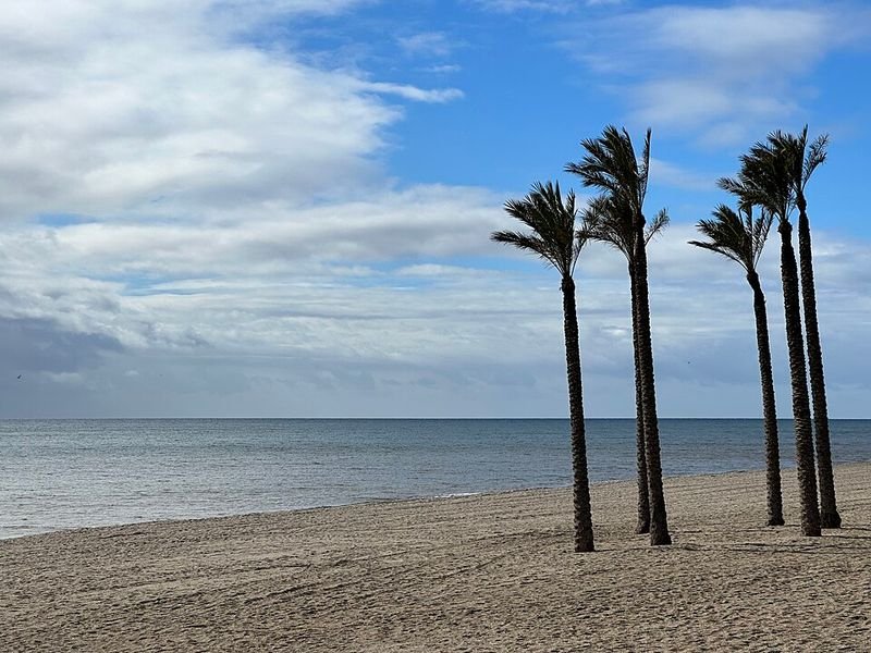 Playa La Bajadilla en Marbella