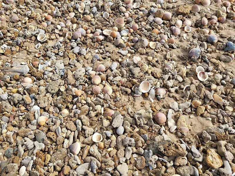 Playa La Barrosa en Chiclana de la Frontera, Cádiz — foto 3 de 9