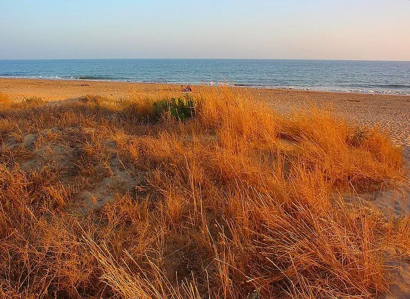 Playa La Bota en Punta Umbría, Huelva — foto 2 de 5
